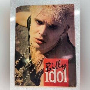 Billy Idol Pinup